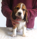 Martina Girl 2 Front 8 Weeks